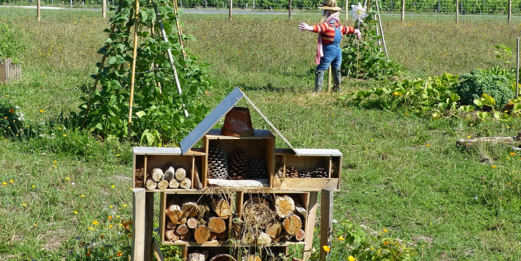 Chatting with Ana Vovk in the rhythm of nature: Permaculture as a way of living with nature