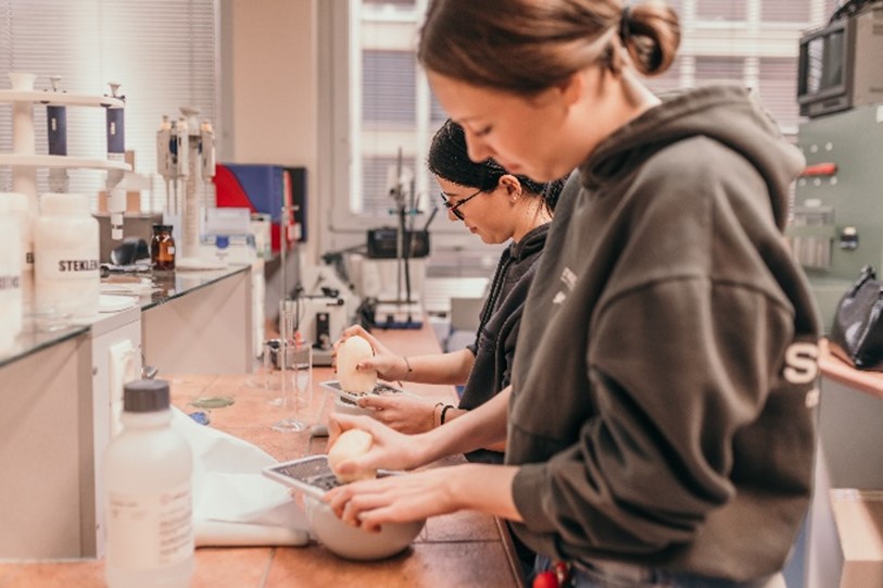 V pričakovanju Evropske noči raziskovalcev 2025 ali kaj dogaja med izdajama 2024 in 2025?